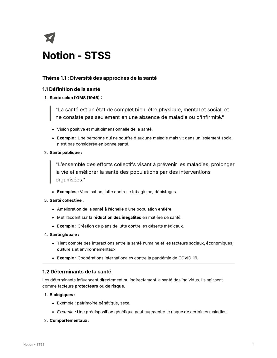 STSS 1.1 notion