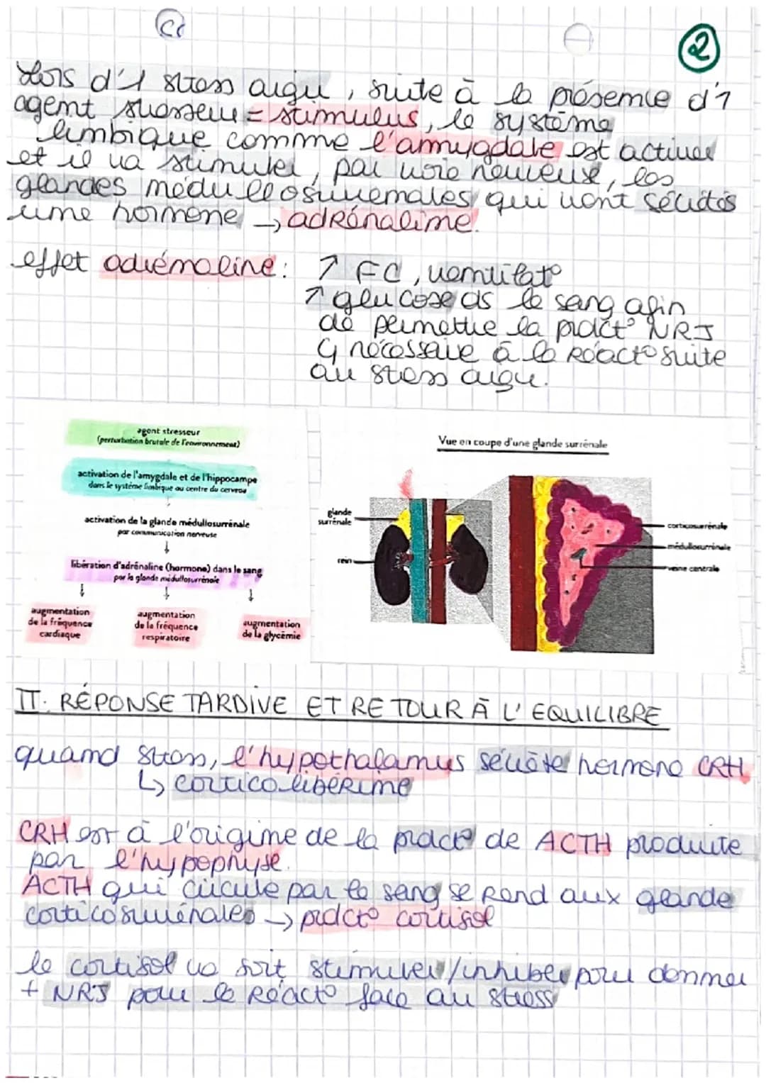 A
Chapitre 5: Comportement et
Stress: adatibilité de l'organisme
Pour beaucory d'entre mus le stess
mais
4
Co semtimemt de malaise.
Reaction