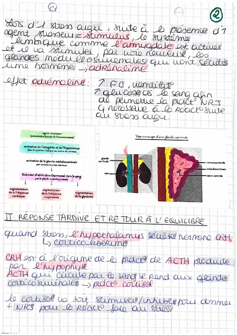 A
Chapitre 5: Comportement et
Stress: adatibilité de l'organisme
Pour beaucory d'entre mus le stess
mais
4
Co semtimemt de malaise.
Reaction