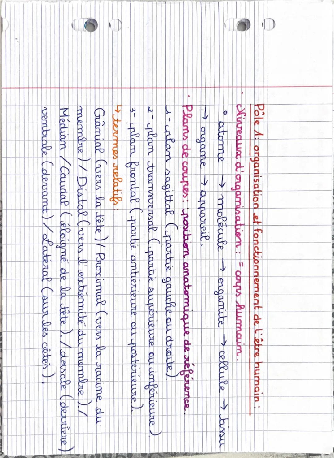 Révision pôle 1 et 2 de biologie ST2S 