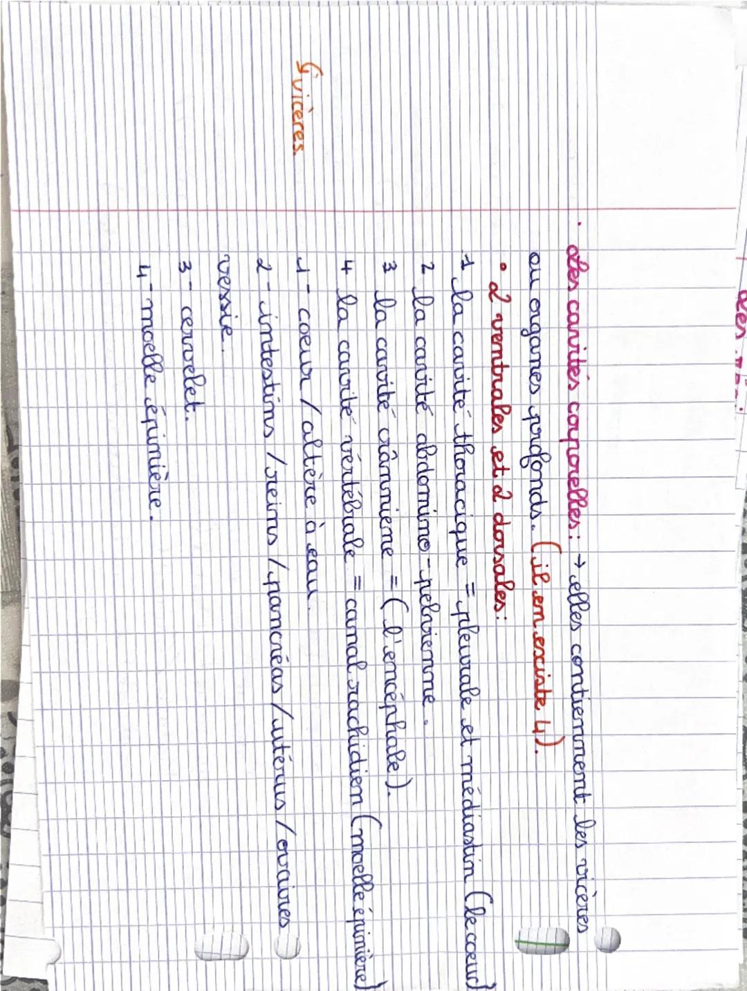 Pôle 1: organisation et fonctionnement de l'être humain :
Niveaux d'organisation: = corps humain.
0
atome → molécule → organite → cellule → 