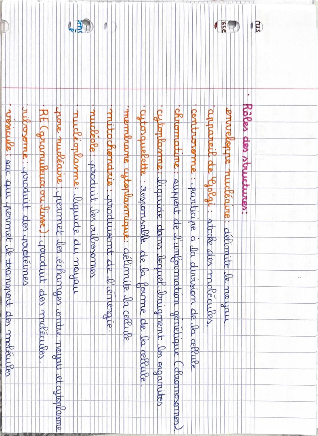 Pôle 1: organisation et fonctionnement de l'être humain :
Niveaux d'organisation: = corps humain.
0
atome → molécule → organite → cellule → 