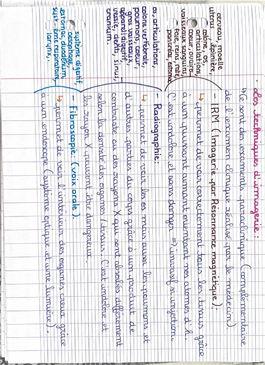 Pôle 1: organisation et fonctionnement de l'être humain :
Niveaux d'organisation: = corps humain.
0
atome → molécule → organite → cellule → 