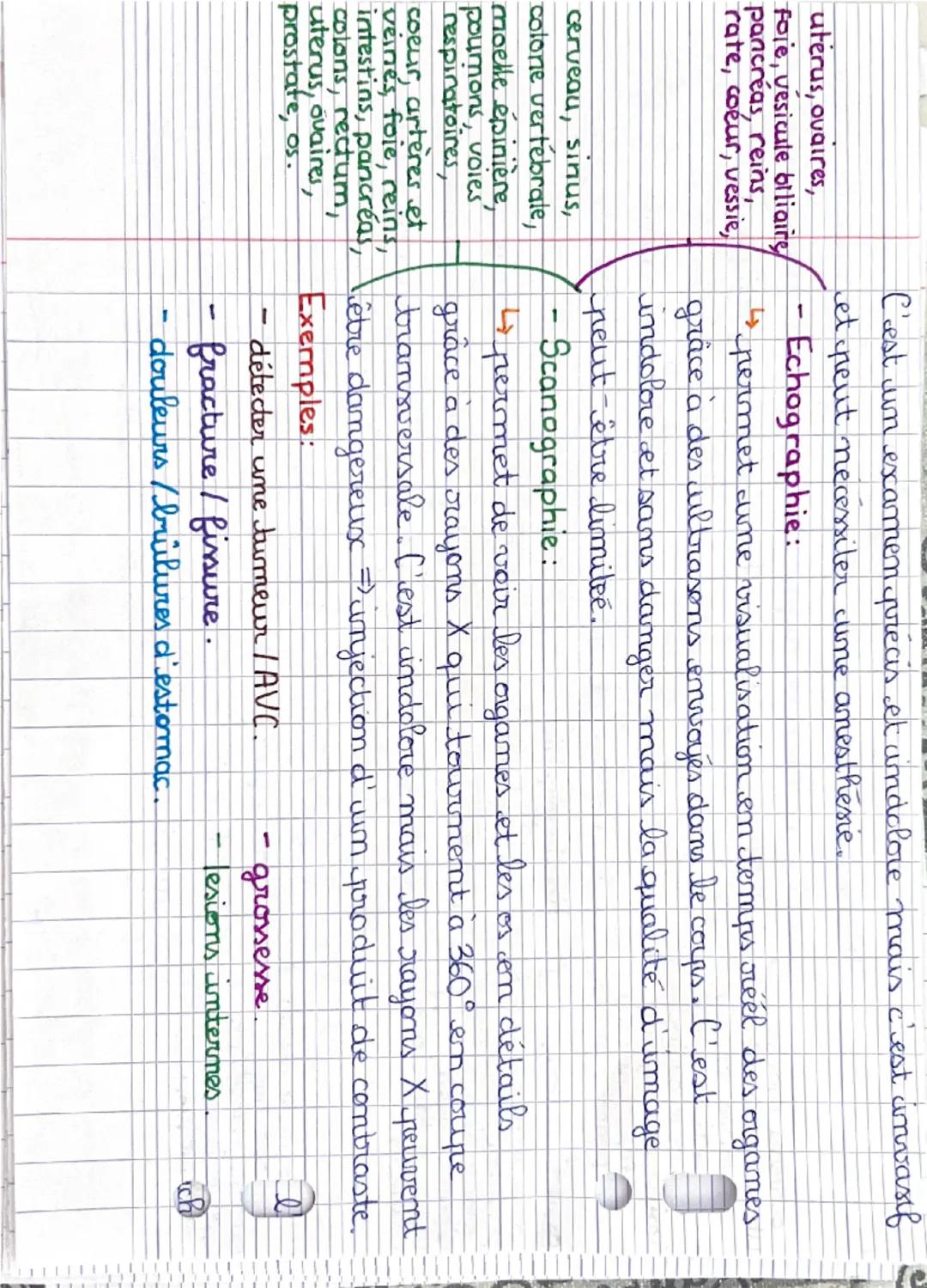 Pôle 1: organisation et fonctionnement de l'être humain :
Niveaux d'organisation: = corps humain.
0
atome → molécule → organite → cellule → 