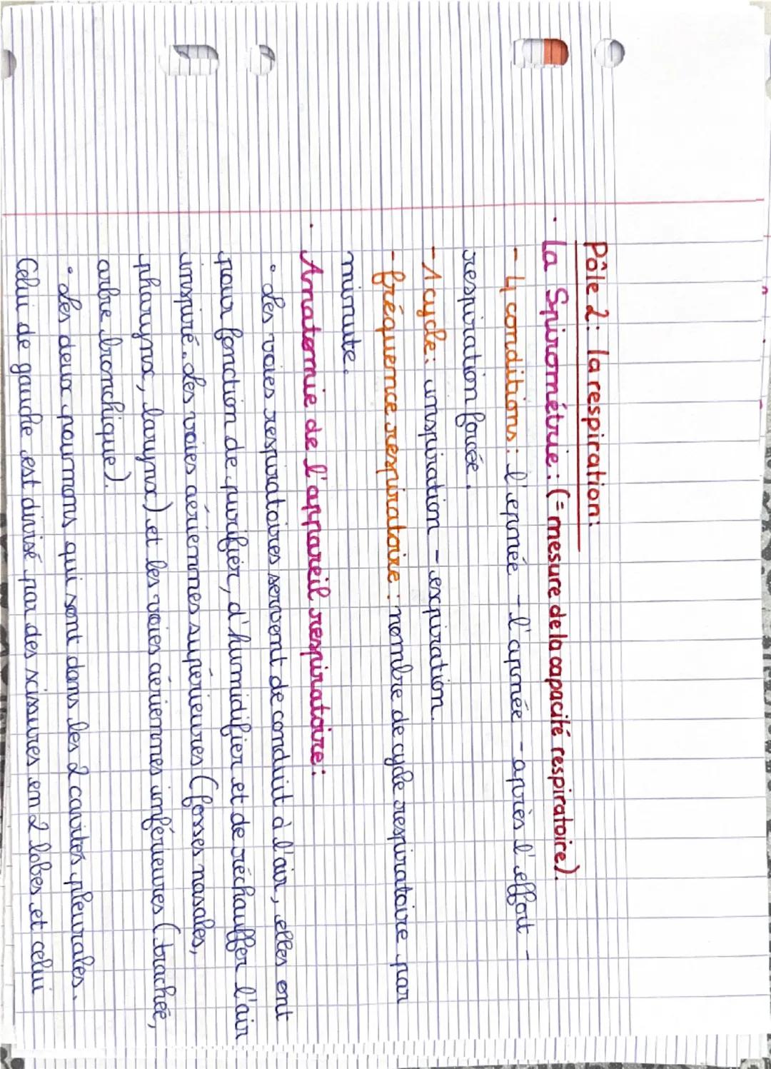 Pôle 1: organisation et fonctionnement de l'être humain :
Niveaux d'organisation: = corps humain.
0
atome → molécule → organite → cellule → 