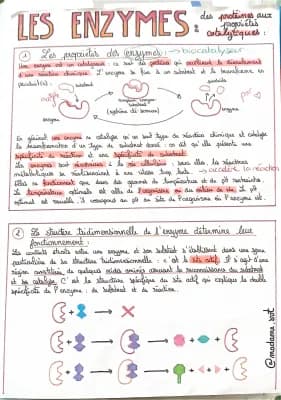 Know les enzymes- SVT thumbnail