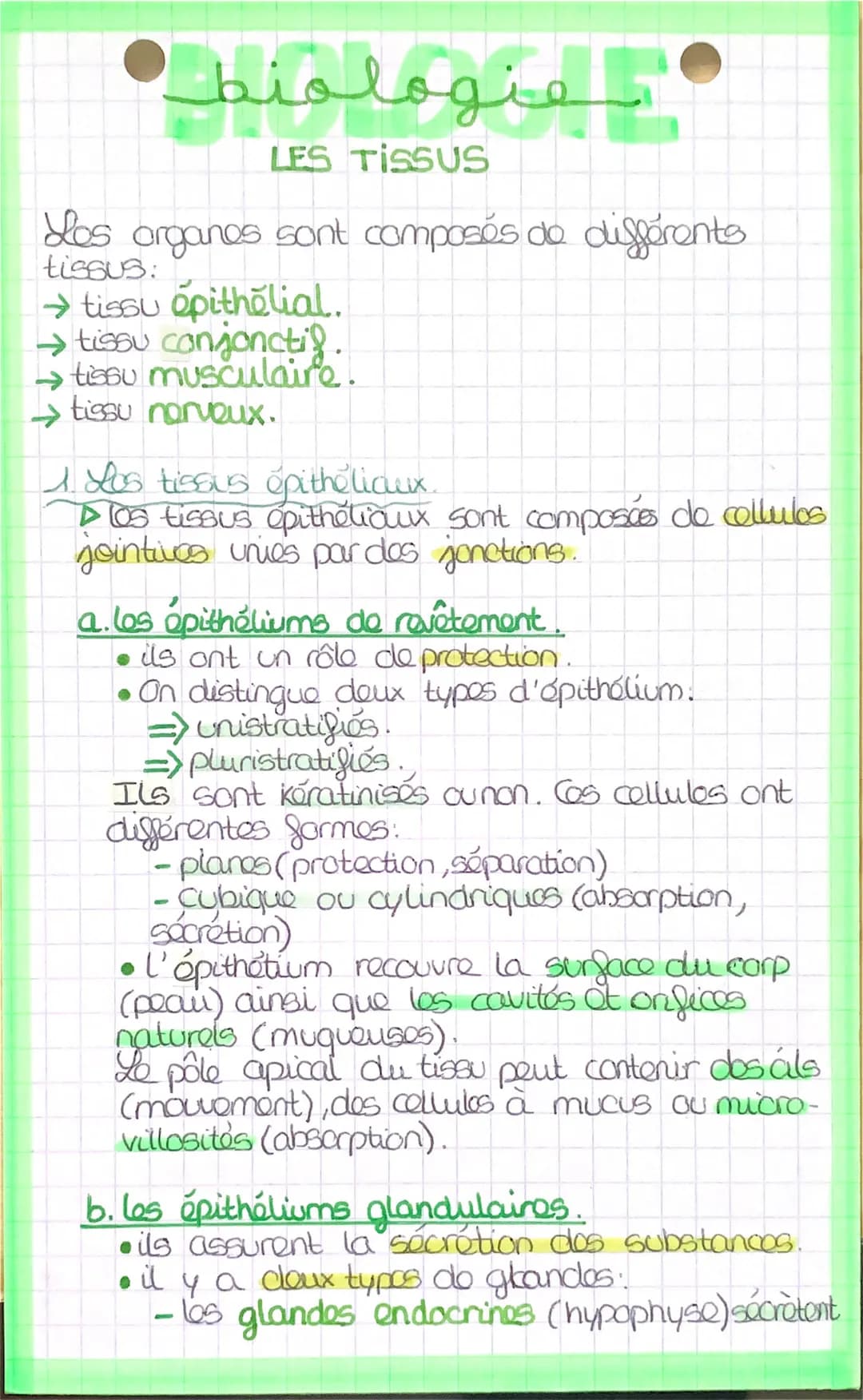 اسفنهملمنط
LES TISSUS
Los organes sont composés de différents
tissus:
tissu épithelial.
→ tissu conjonctif.
→→tissu musculaire.
tissu nerveu