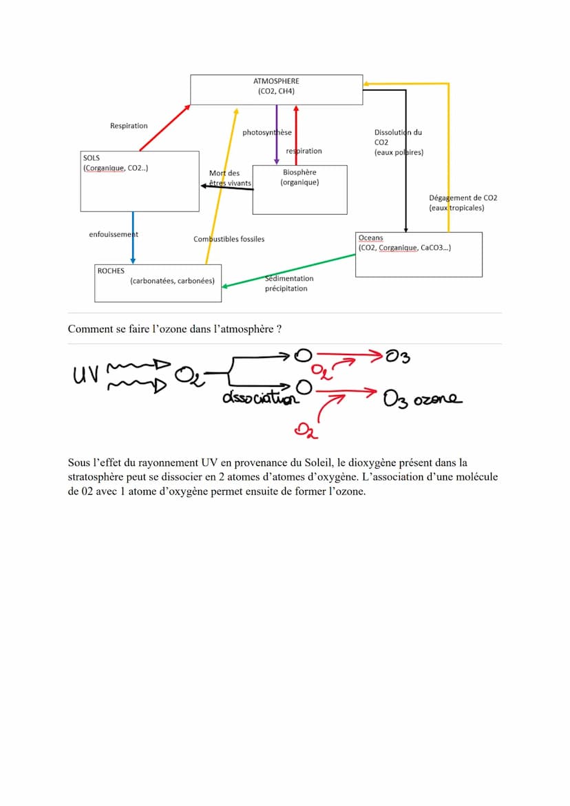 THEME 1: SCIENCE, CLIMAT ET SOCIETE
CHAPITRE 1: L'ATMOSPHERE TERRESTRE ET LA VIE.
La terre est formée il y a 4,6 milliards d'années, en même