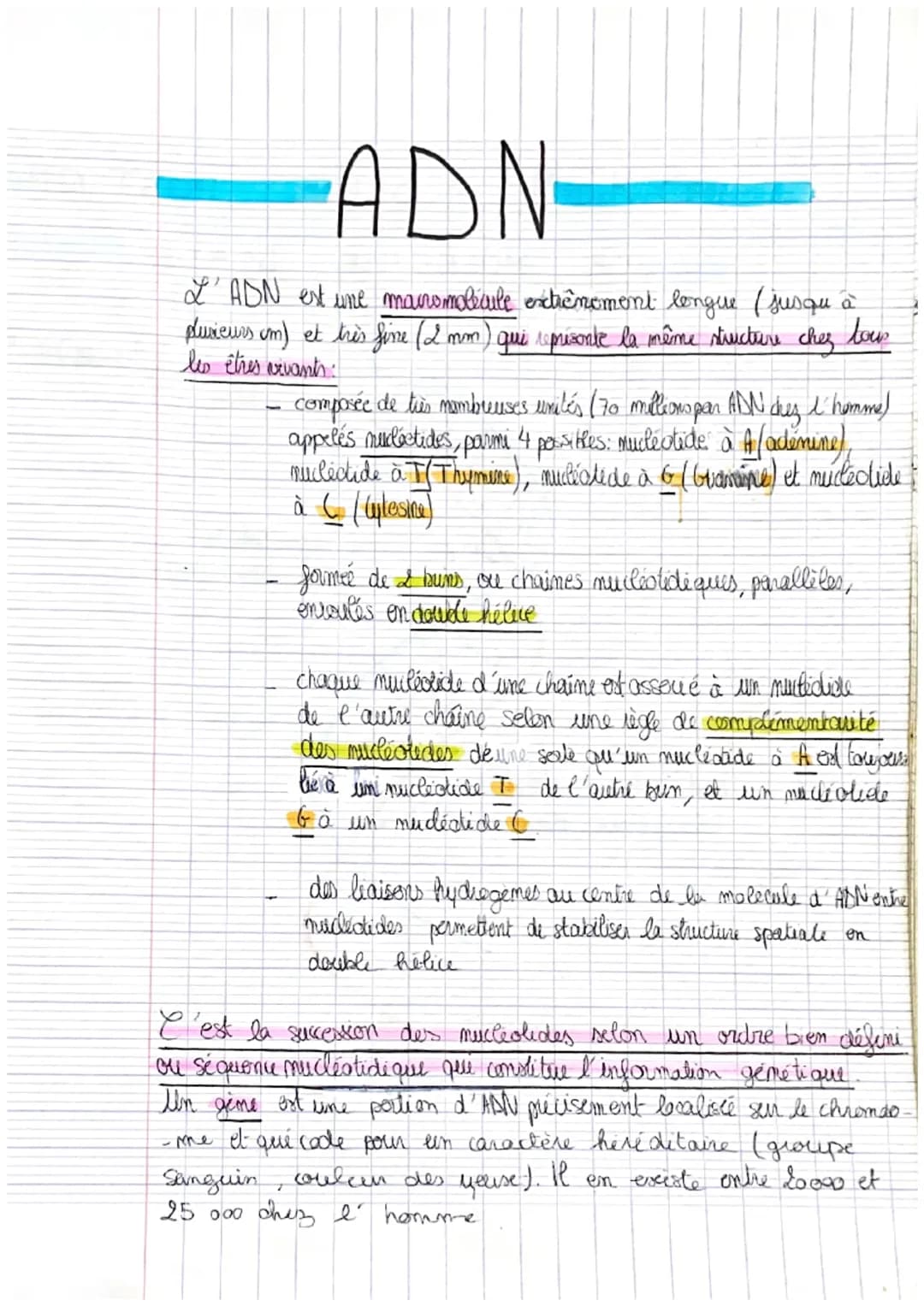 ADN
L'ADN est une macromolécule extrêmement longue (jusqu'à
plusieurs om) et très fine (2 mm) qui represonte la même structure chez
tou
les 