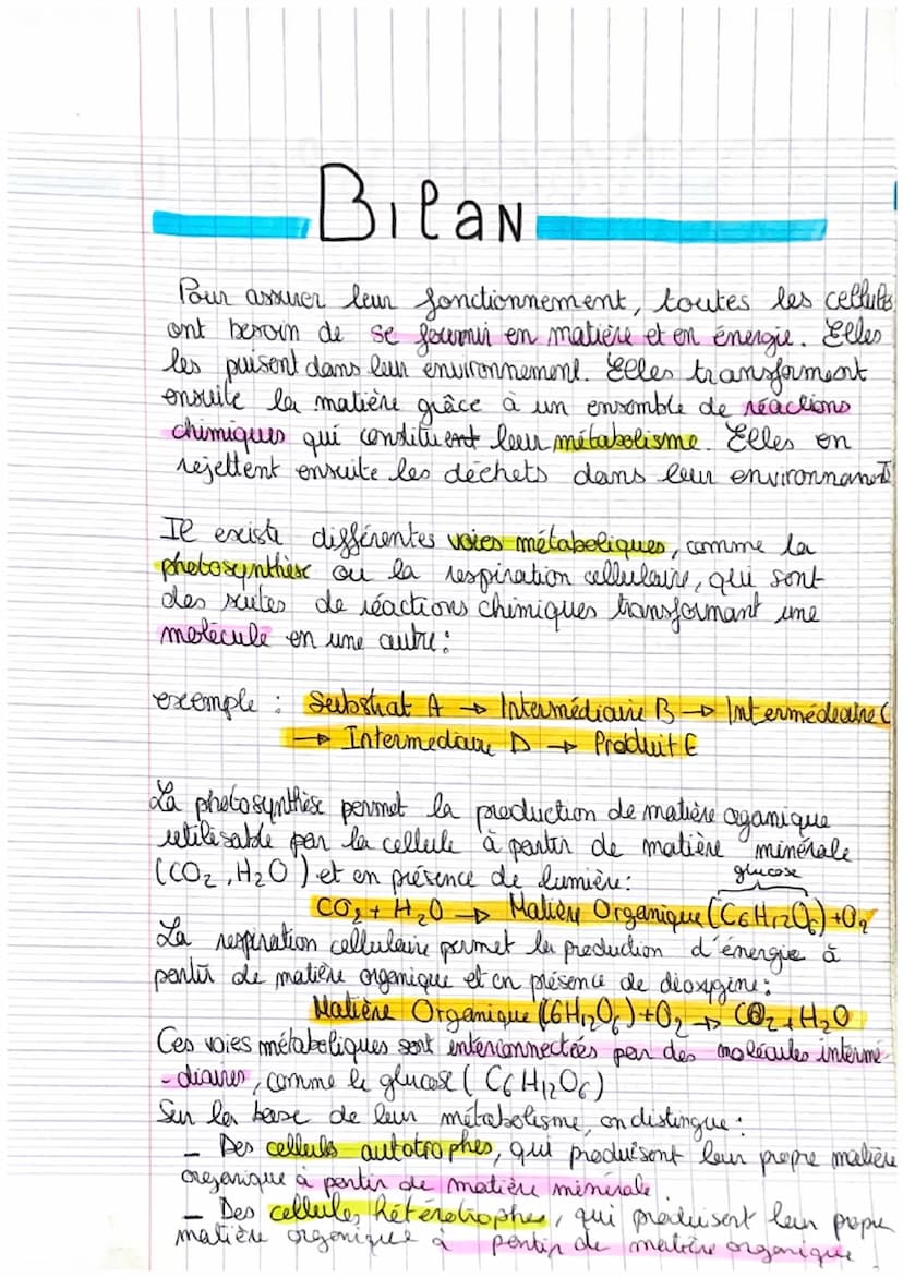 ADN
L'ADN est une macromolécule extrêmement longue (jusqu'à
plusieurs om) et très fine (2 mm) qui represonte la même structure chez
tou
les 