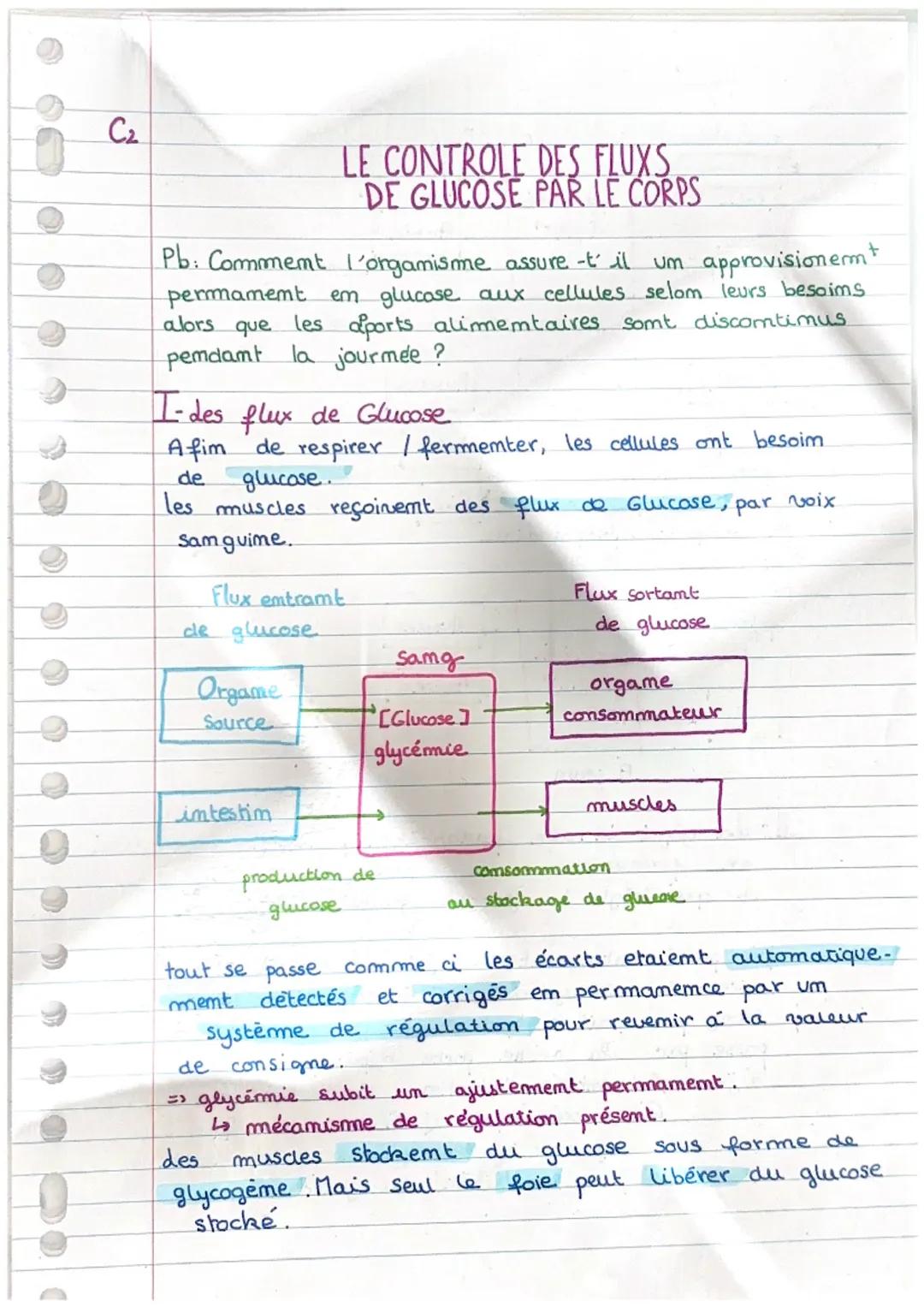 C2

LE CONTROLE DES FLUXS
DE GLUCOSE PAR LE CORPS

Pb: Commemt l'organisme assure -t' il um approvisionemt
permamemt em glucose aux cellules