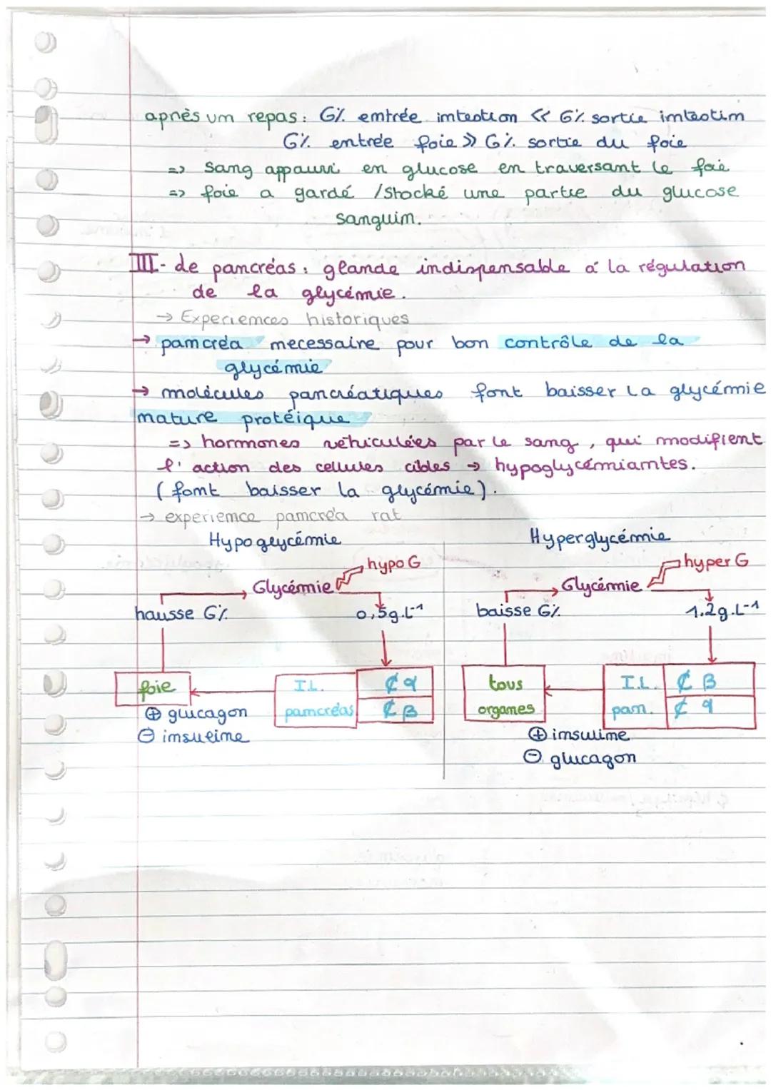 C2

LE CONTROLE DES FLUXS
DE GLUCOSE PAR LE CORPS

Pb: Commemt l'organisme assure -t' il um approvisionemt
permamemt em glucose aux cellules