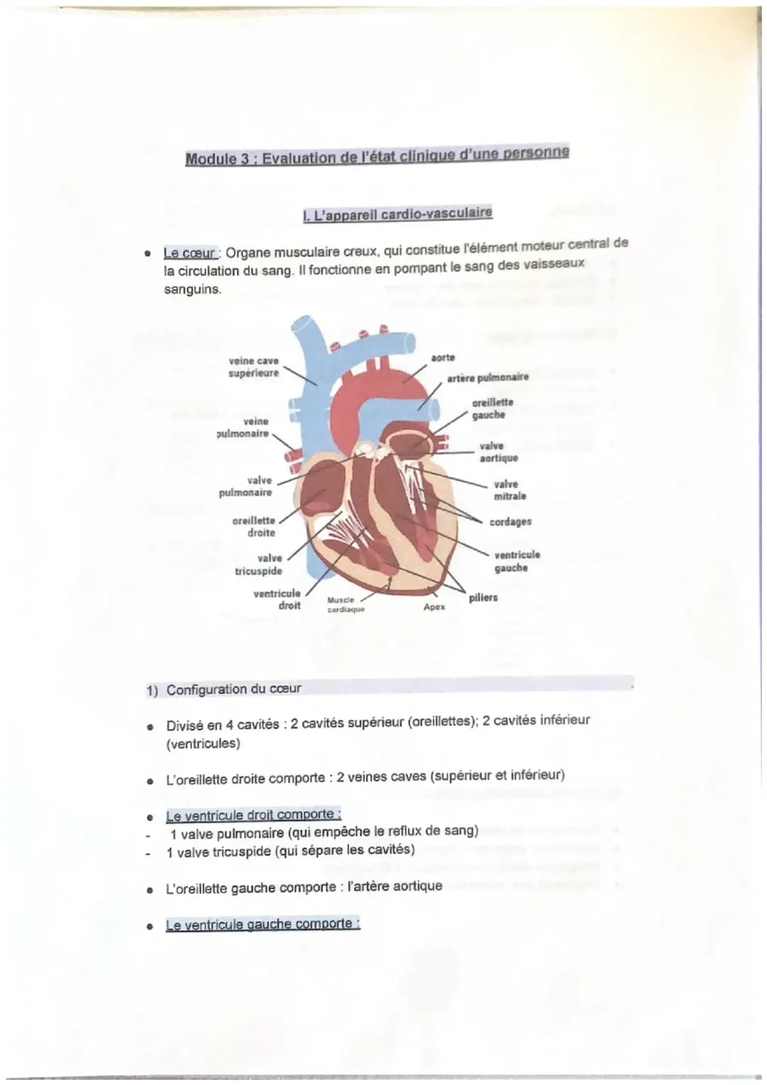 Appareil cardio-vasculaire 