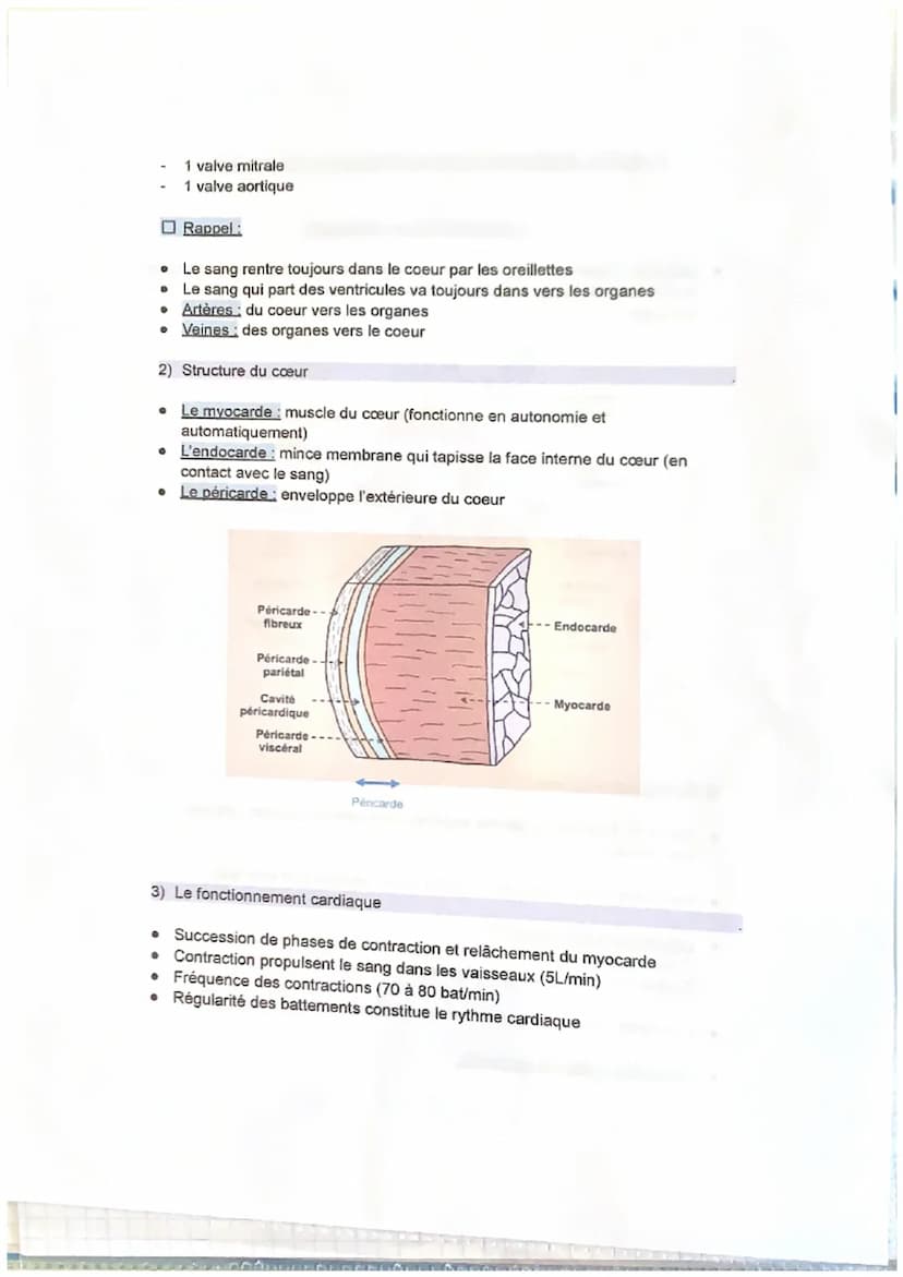 Module 3: Evaluation de l'état clinique d'une personne
I. L'appareil cardio-vasculaire
• Le cœur: Organe musculaire creux, qui constitue l'é