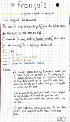 Know groupe nominal et des expansions  thumbnail