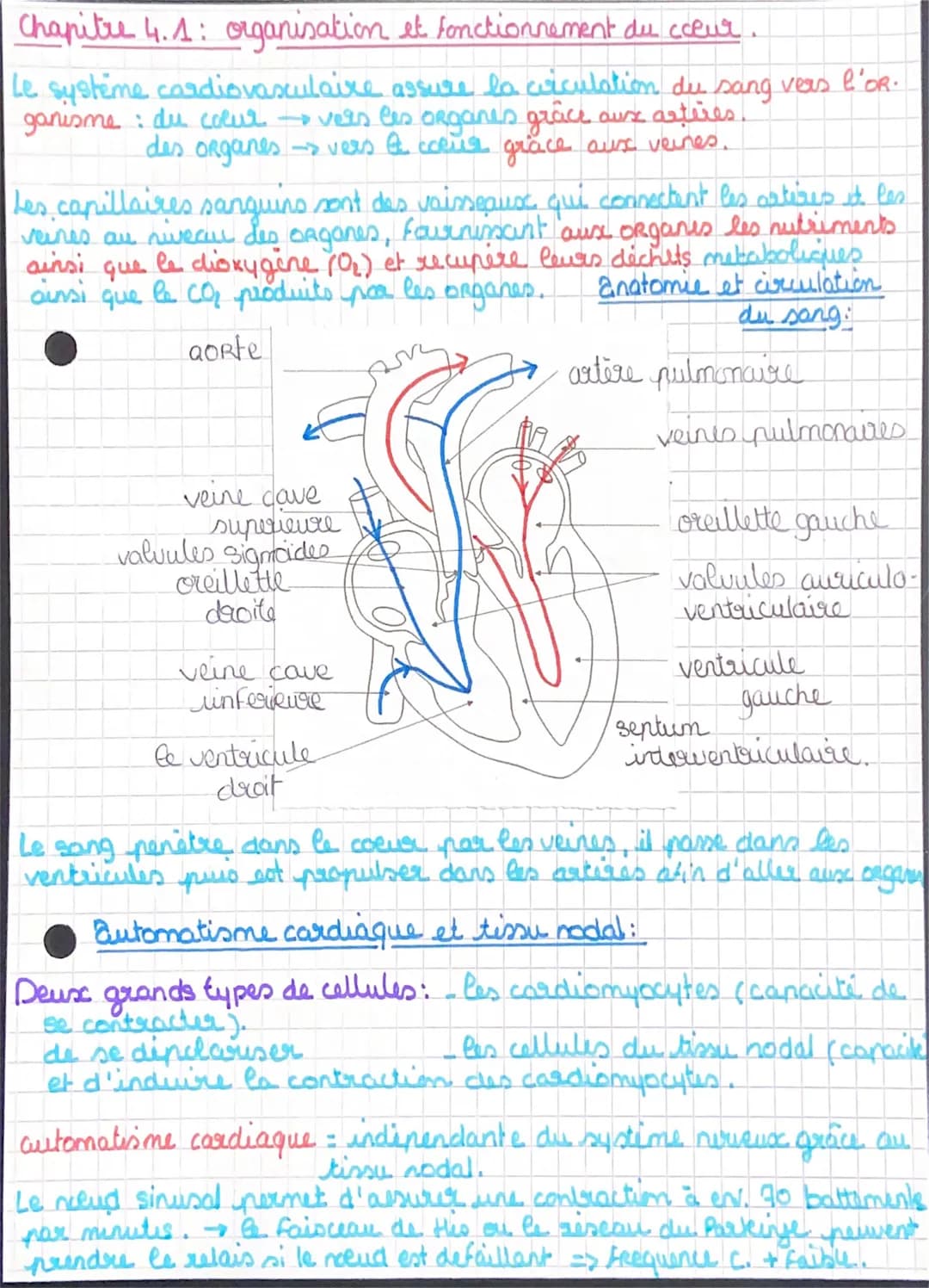 Chapitre 4.1: organisation et fonctionnement du coeur
Le système cardiovasculaire assure la ciculation du sang vers l'OR.
ganisme : du colur