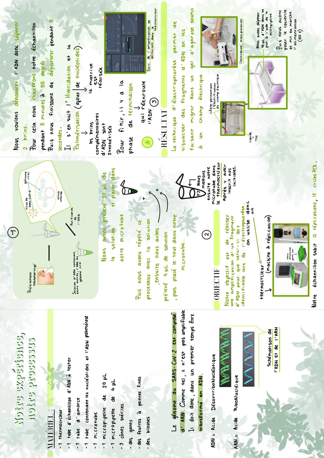 Notre expérience,
jotre processus
MATÉRIEL :
- 1 thermocycleur
-1 tube d'échantillon d'ADN à tester
-1 tube
d'amorce
- 1 tube contenant les 