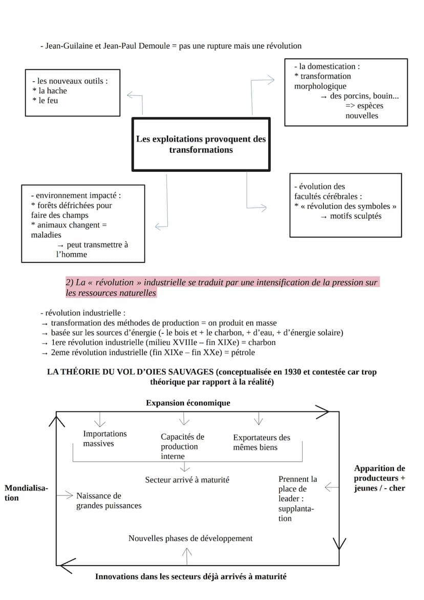 H.G.G.S.P. THÈME 4 : L'ENVIRONNEMENT ENTRE EXPLOITATION ET
PROTECTION : UN ENJEU PLANÉTAIRE
Introduction du thème
1) L'environnement : une c