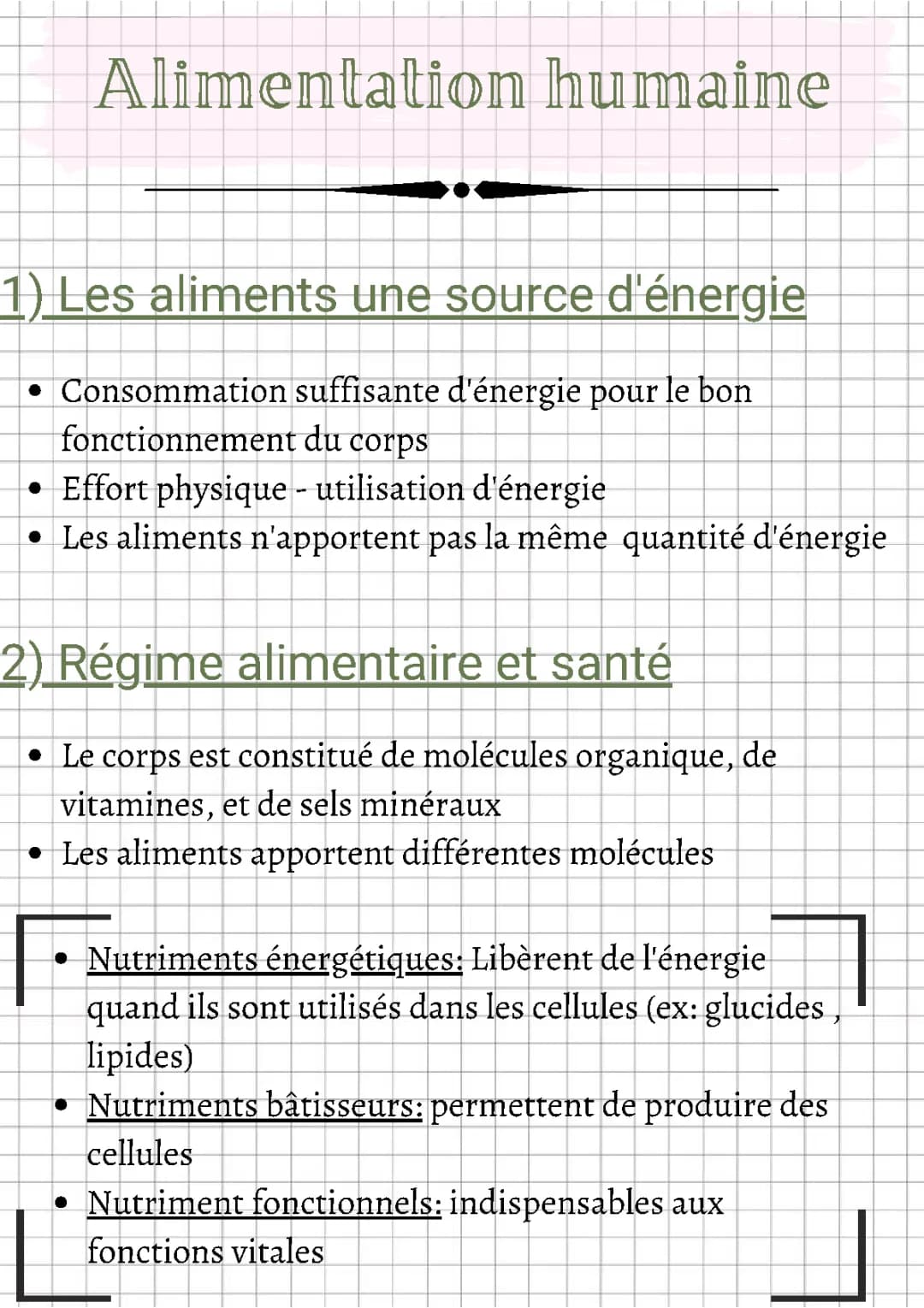 L'alimentation humaine