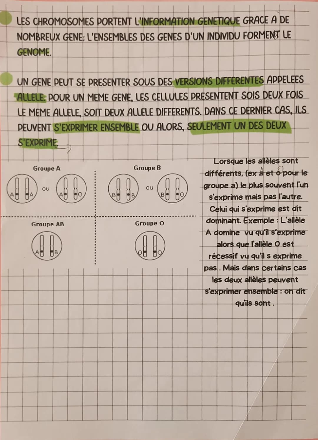 --- OCR Start ---
les chromosomes XX
Quelques gènes situés
sur le chromosome 9
gène dirigeant la fabrication
des pigments de la peau et des 