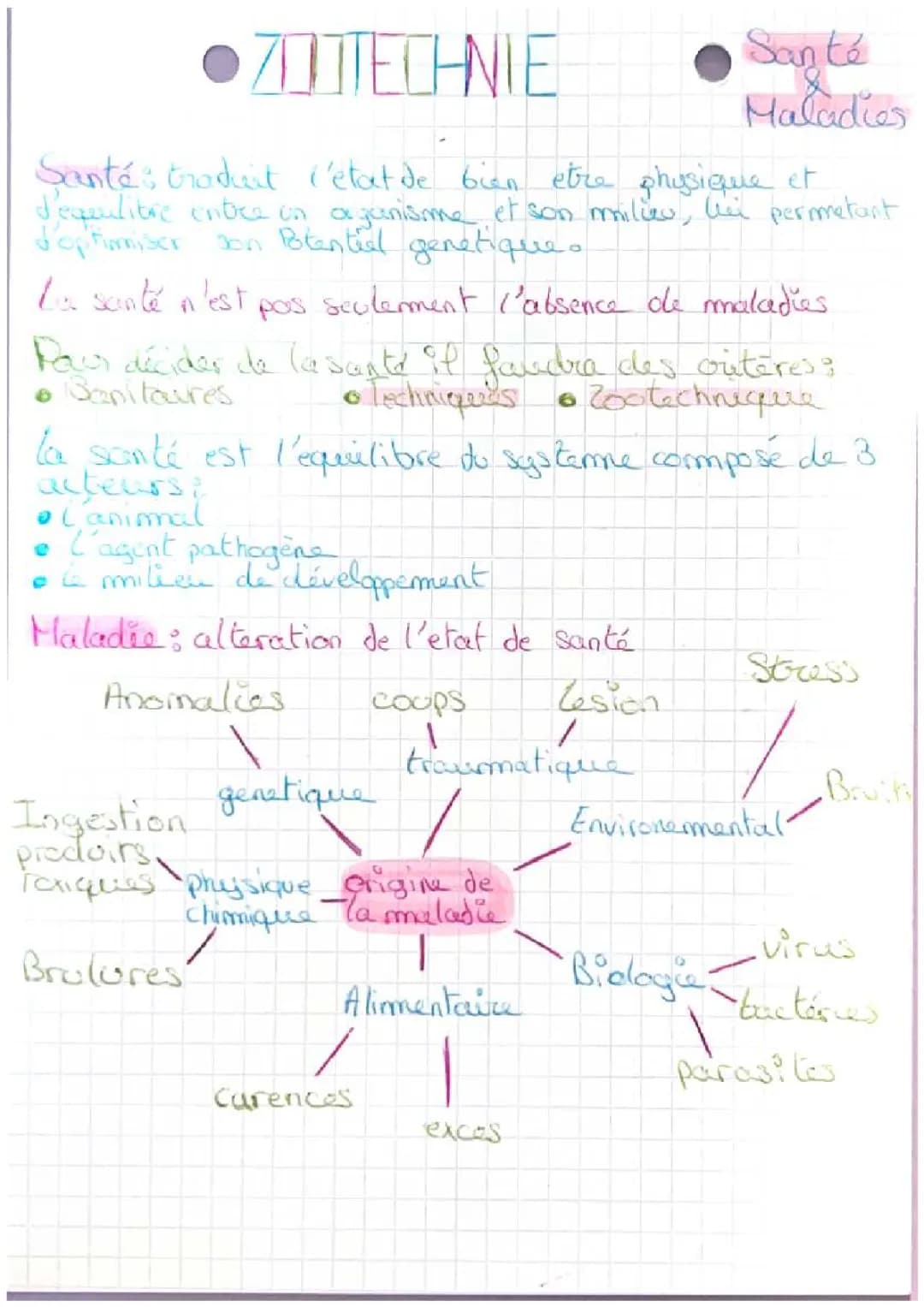 Santé et Prévention des Maladies Animales