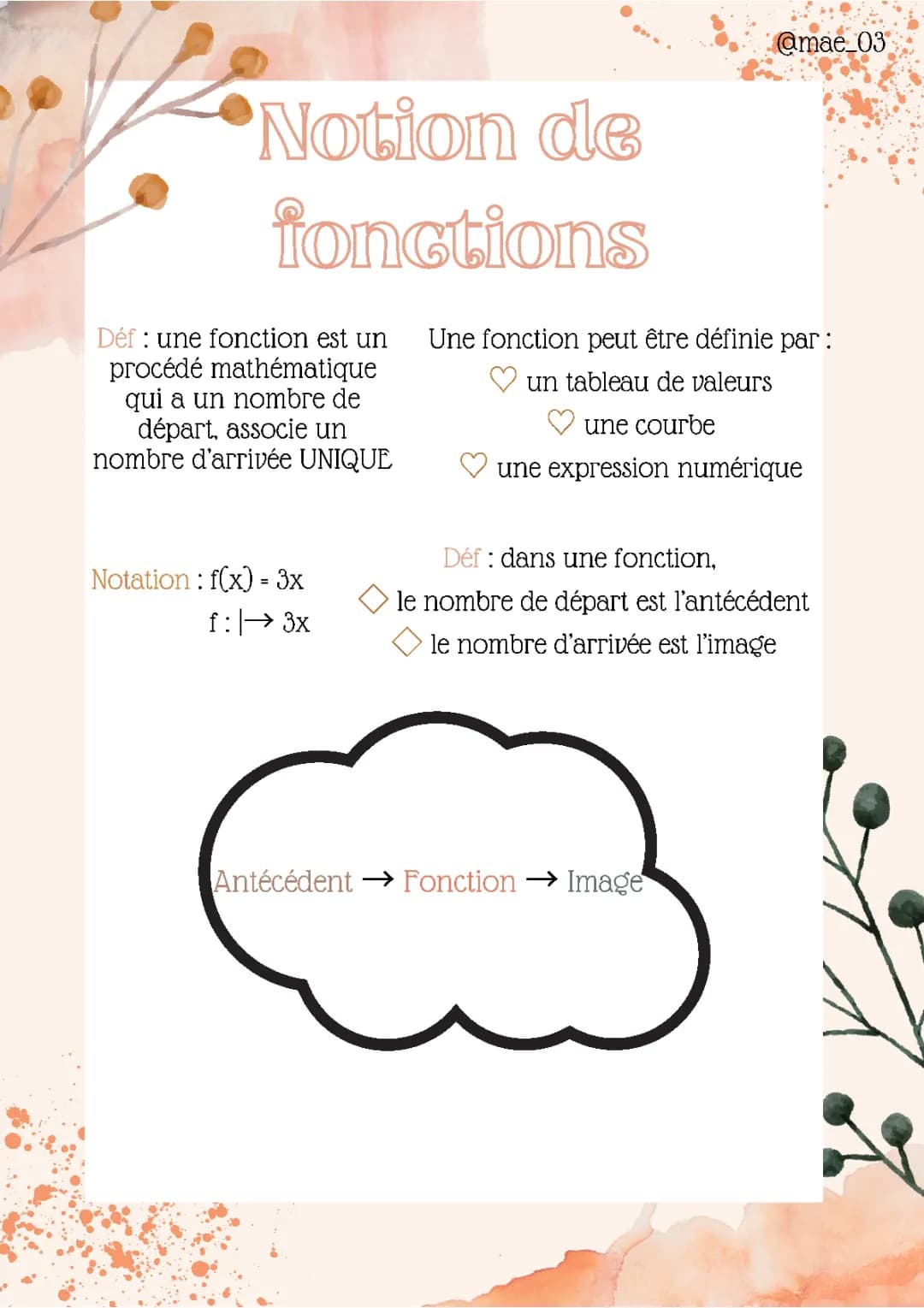 Notion de fonction ✨