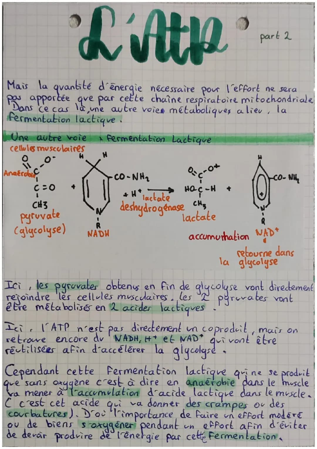 "L'AMP
Qu'est ce que c'est exactement 1-ATP ?
3 phosphates
Rom
L'ATP est une
molecule dont le
est adhénosine
triphosphate ou ATP.
On dit qu'
