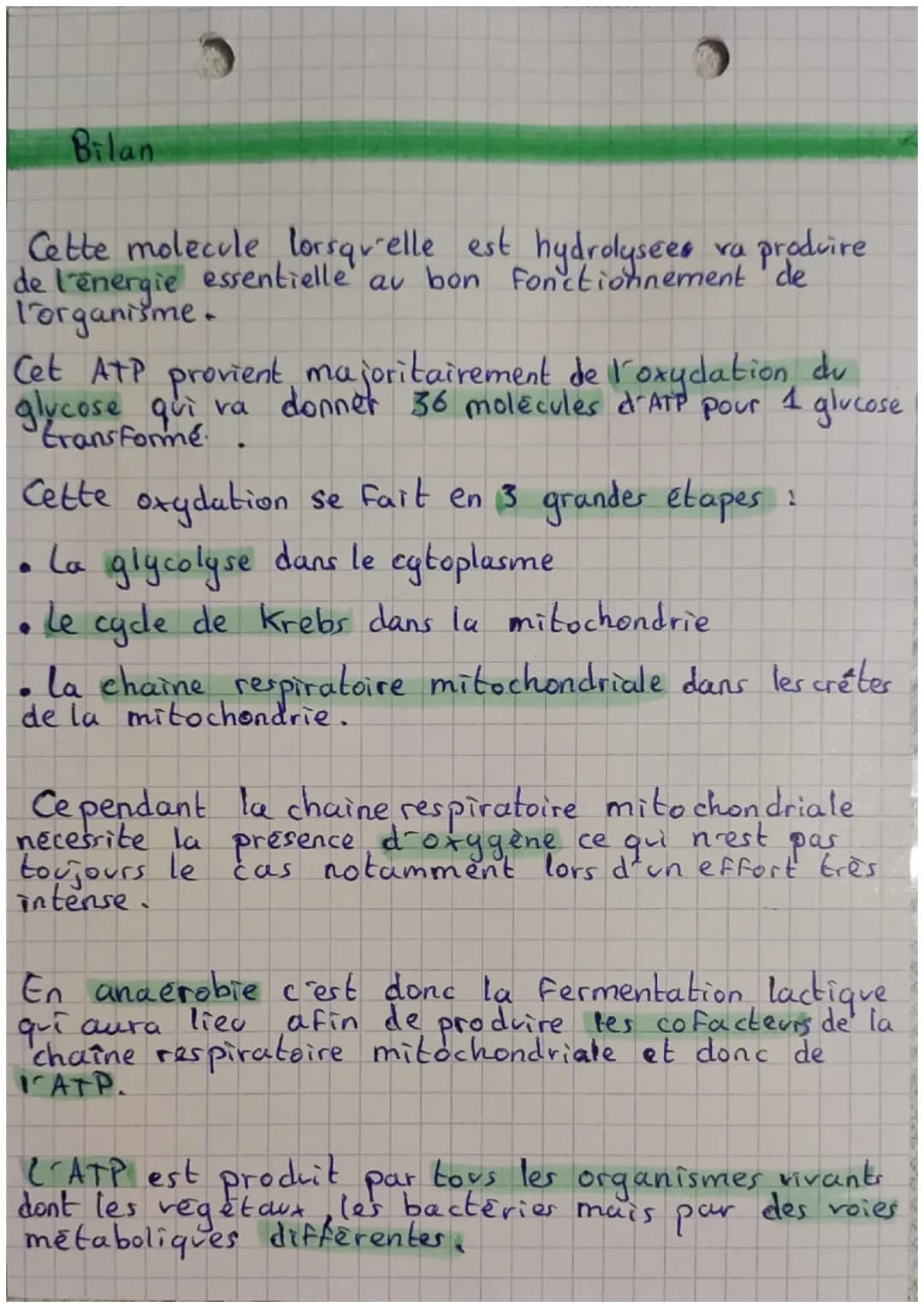 "L'AMP
Qu'est ce que c'est exactement 1-ATP ?
3 phosphates
Rom
L'ATP est une
molecule dont le
est adhénosine
triphosphate ou ATP.
On dit qu'