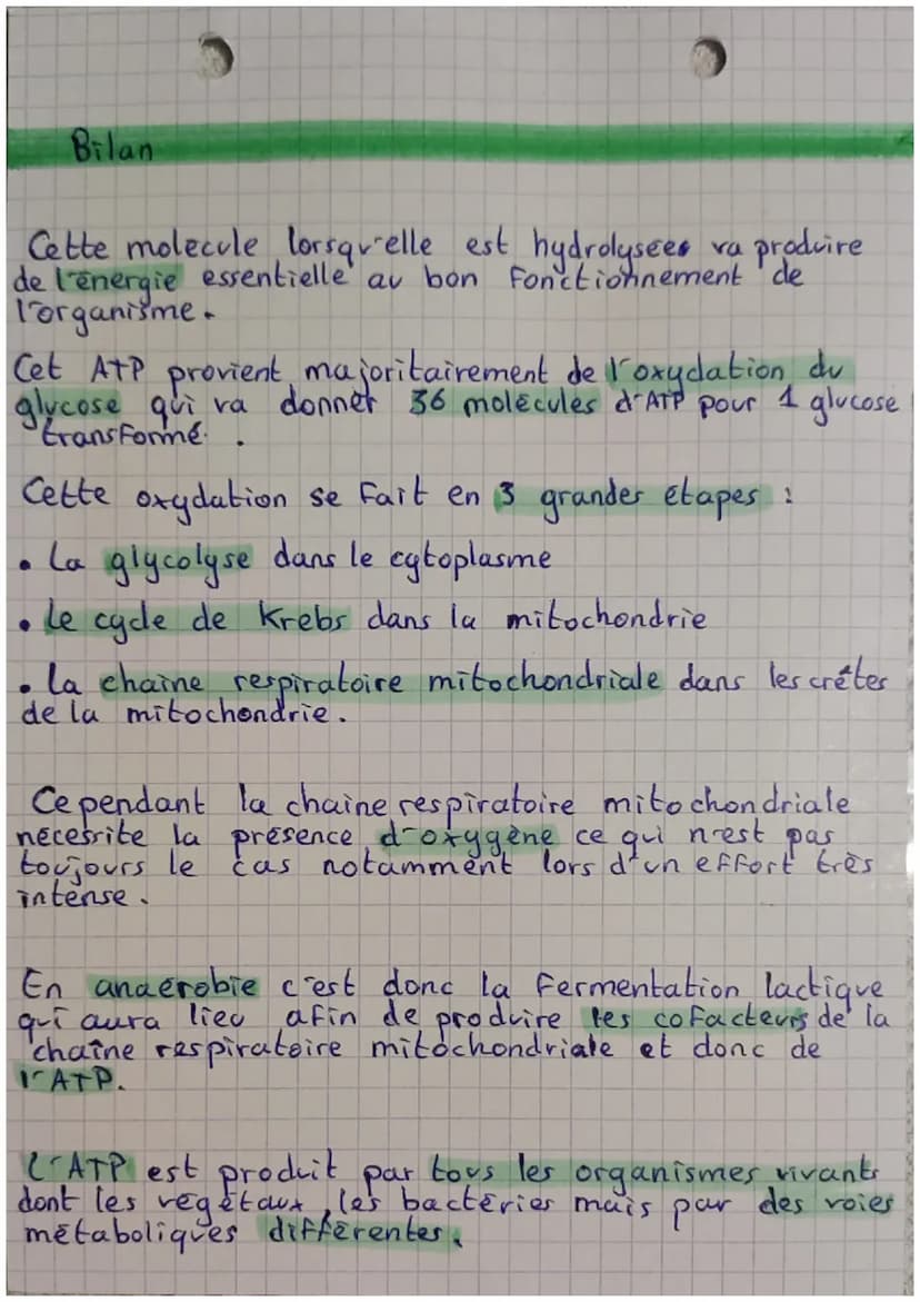 "L'AMP
Qu'est ce que c'est exactement 1-ATP ?
3 phosphates
Rom
L'ATP est une
molecule dont le
est adhénosine
triphosphate ou ATP.
On dit qu'