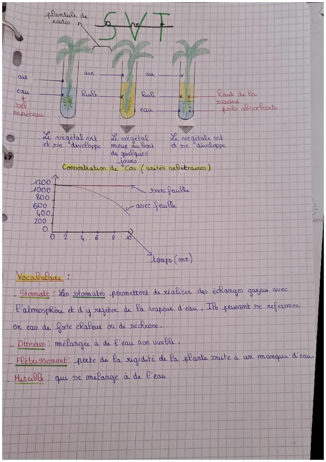 aux
plantule de
xadio D
cau
+
sel
minereau
1200
1000
800
600
400.
Le végétal vit
et se diveloppe
200
O
24
SWF
aur
0 2
Ruila
4 6
F
8
air
10
R