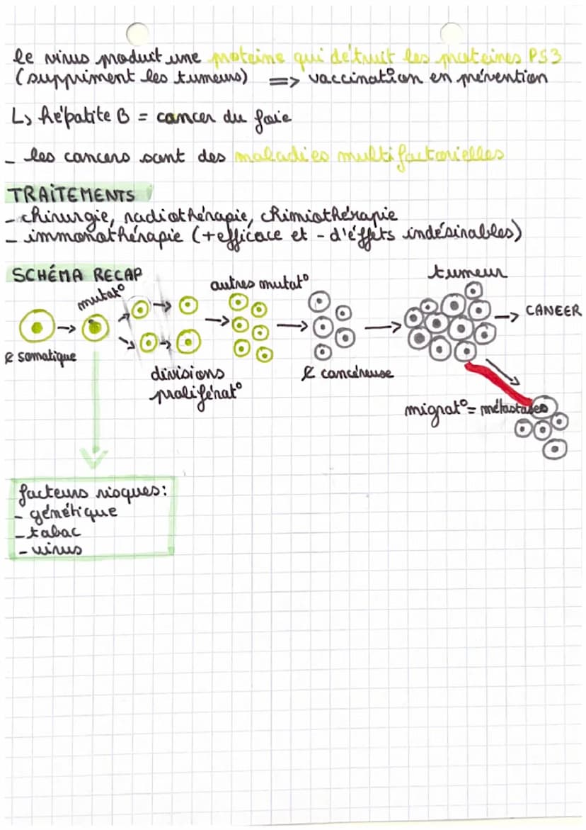 T3A-part. 2
Cancerisacion
variation du génome
immortalité: me répondent plus aux signaux de fin de vie
pente de la fonction initiale: muties