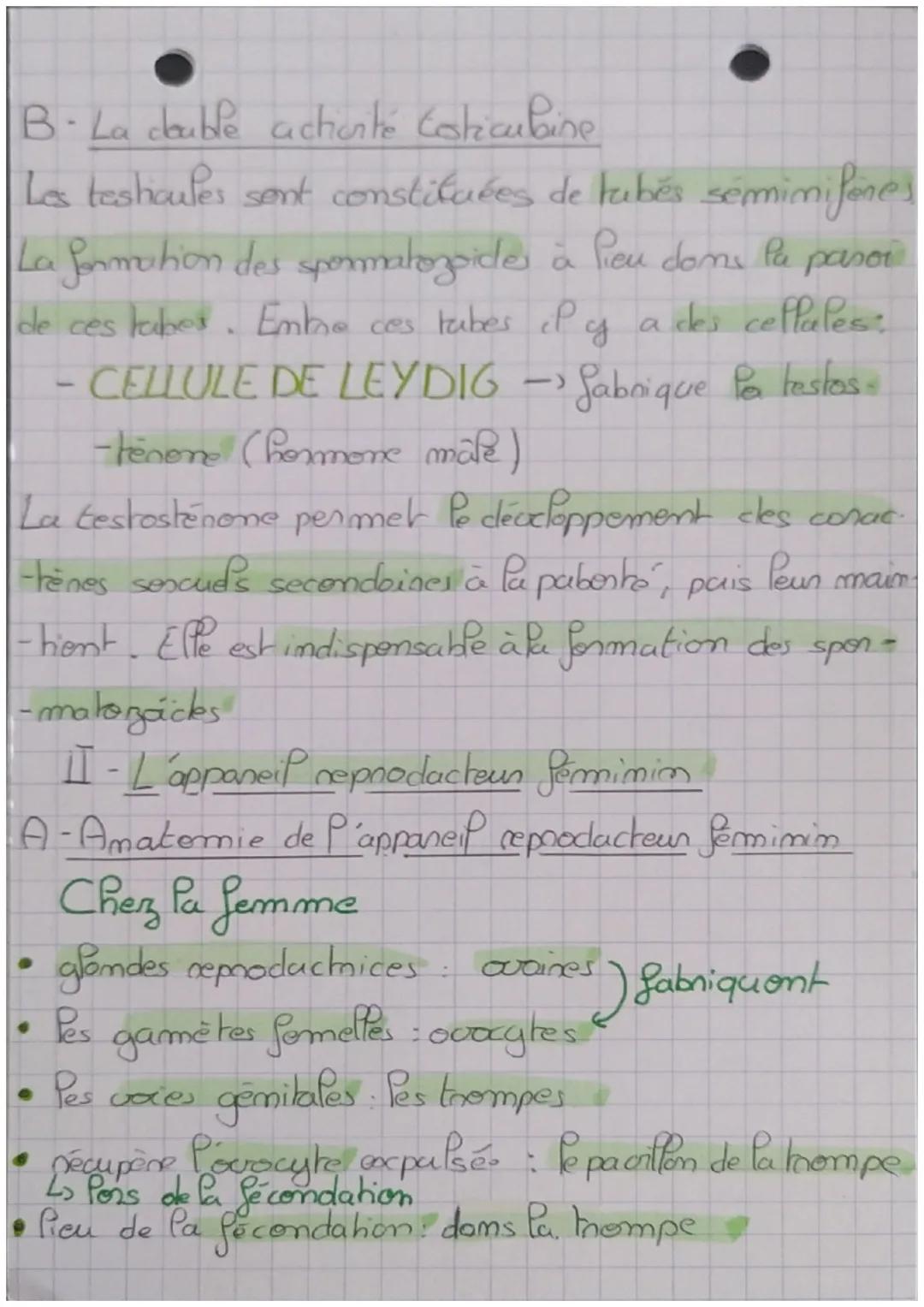 Conps hamain et somté:
ole Pa fécondation à la paberté

Les phémotypes masculims et fermimims se distinguent
pon des diffenences anatomiques