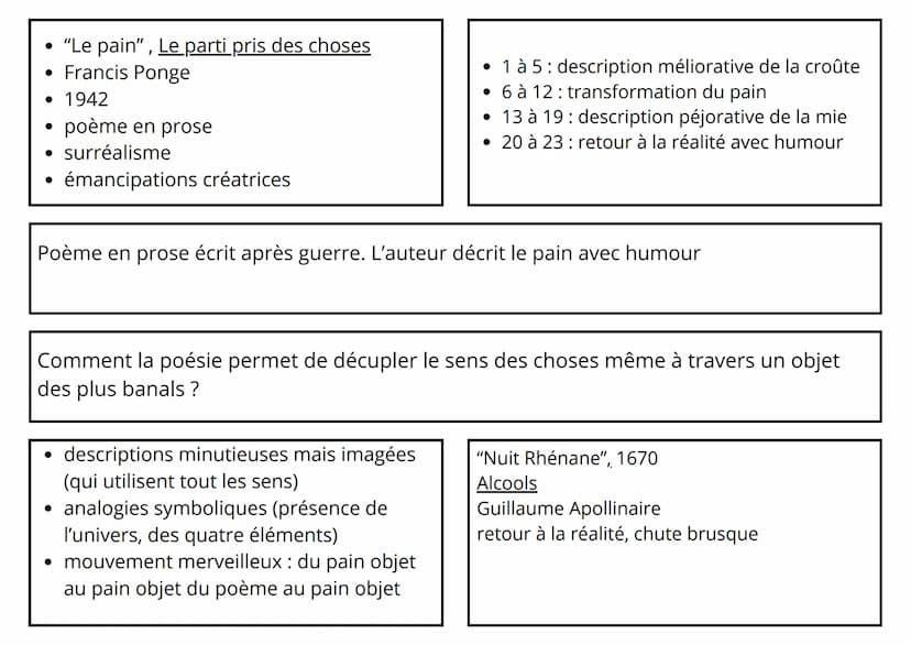 Le pain
La surface du pain est merveilleuse d'abord à
cause de cette impression quasi panoramique qu'elle
donne : comme si l'on avait à sa d