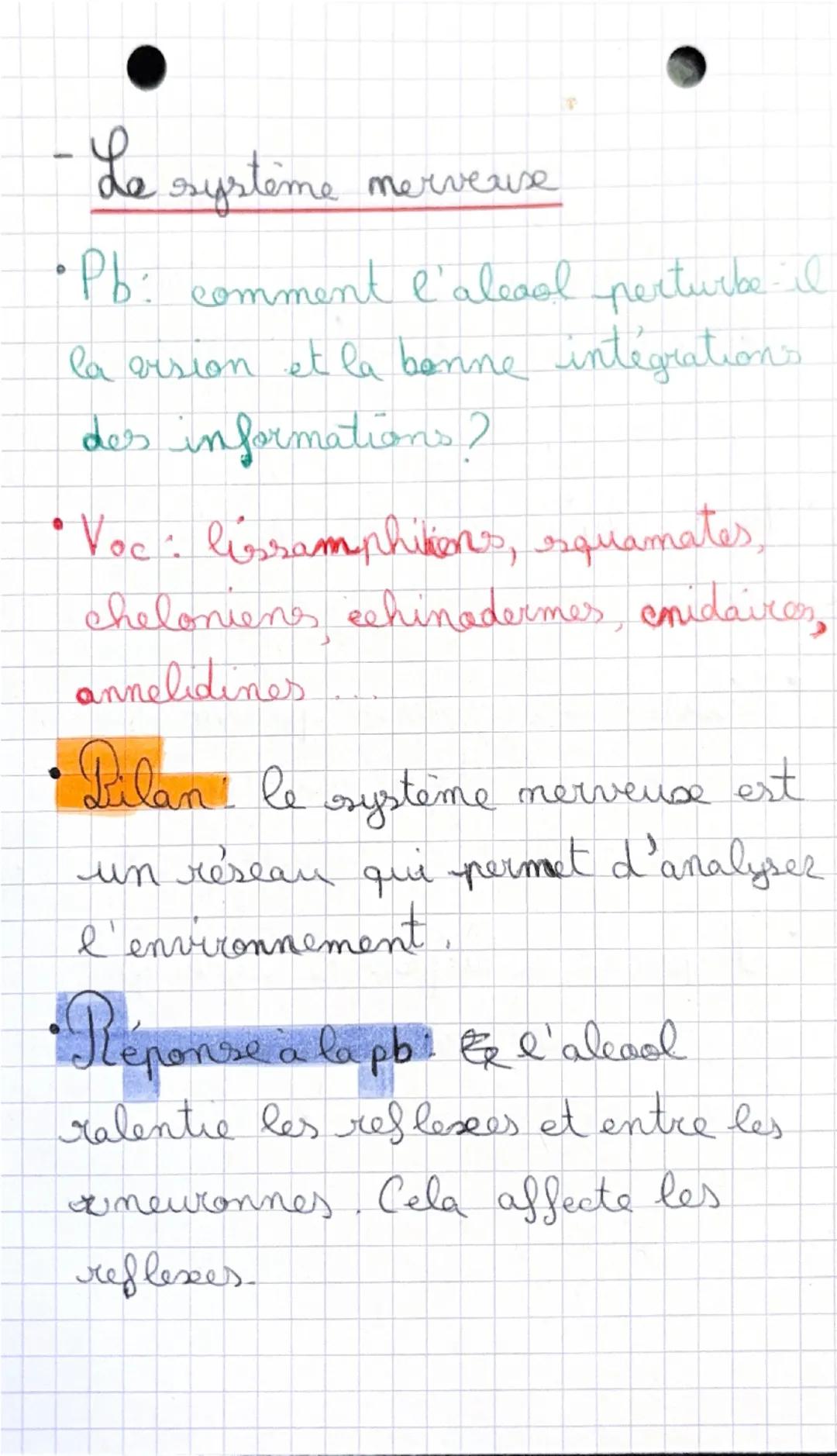 - Seismes, mécaniques et risques

• Problématiques: comment explique
les seismes et leurs origines?

• Vocabulaire: épicentre, ondes
sismiqu