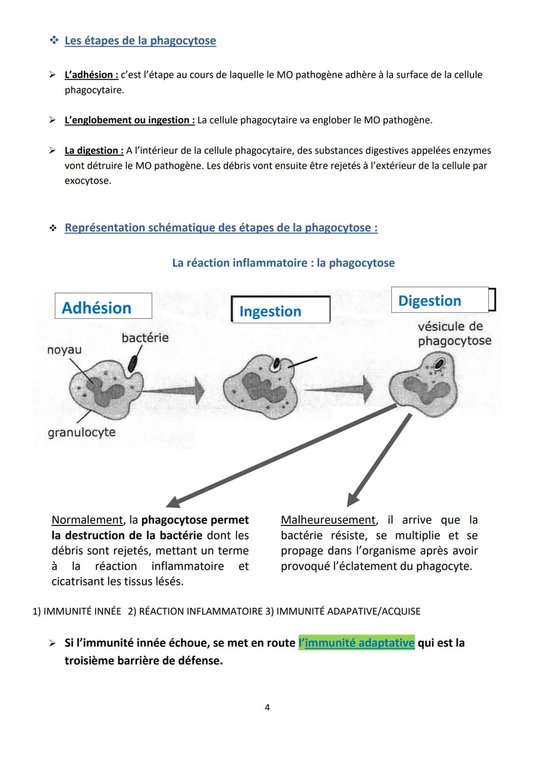2
Objectifs :
-
Fiche MEMO
L'immunité innée
Présenter le système immunitaire
Indiquer les rôles de la peau et des muqueuses
Décrire la réact
