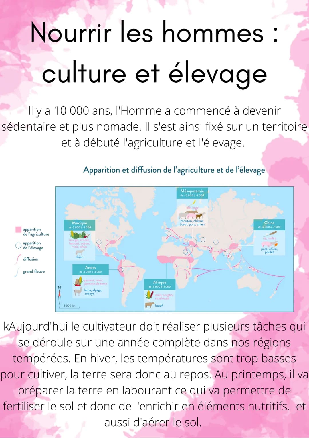 Nourrir les hommes :
culture et élevage
Il y a 10 000 ans, l'Homme a commencé à devenir
sédentaire et plus nomade. Il s'est ainsi fixé sur u