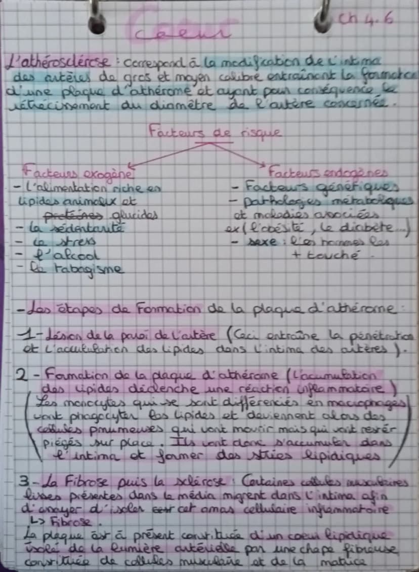 L'anatomie et la physiologie du coeur
ChJ
blou non hematose (pen Ozetren Co₂)
лоиде
1 hematose (ren Oz et p en C02)
Artère pulmonaire
droite