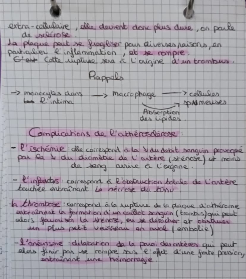 L'anatomie et la physiologie du coeur
ChJ
blou non hematose (pen Ozetren Co₂)
лоиде
1 hematose (ren Oz et p en C02)
Artère pulmonaire
droite