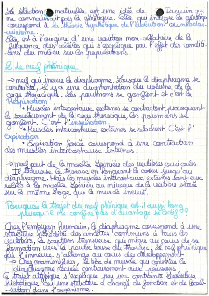 •ES SUT
Chapitre 2: L'évolution.com.
-me grille de lecture du
monde vivant
Krant: ce qui est soumis à l'évolution biologique
Theodosius Dobe