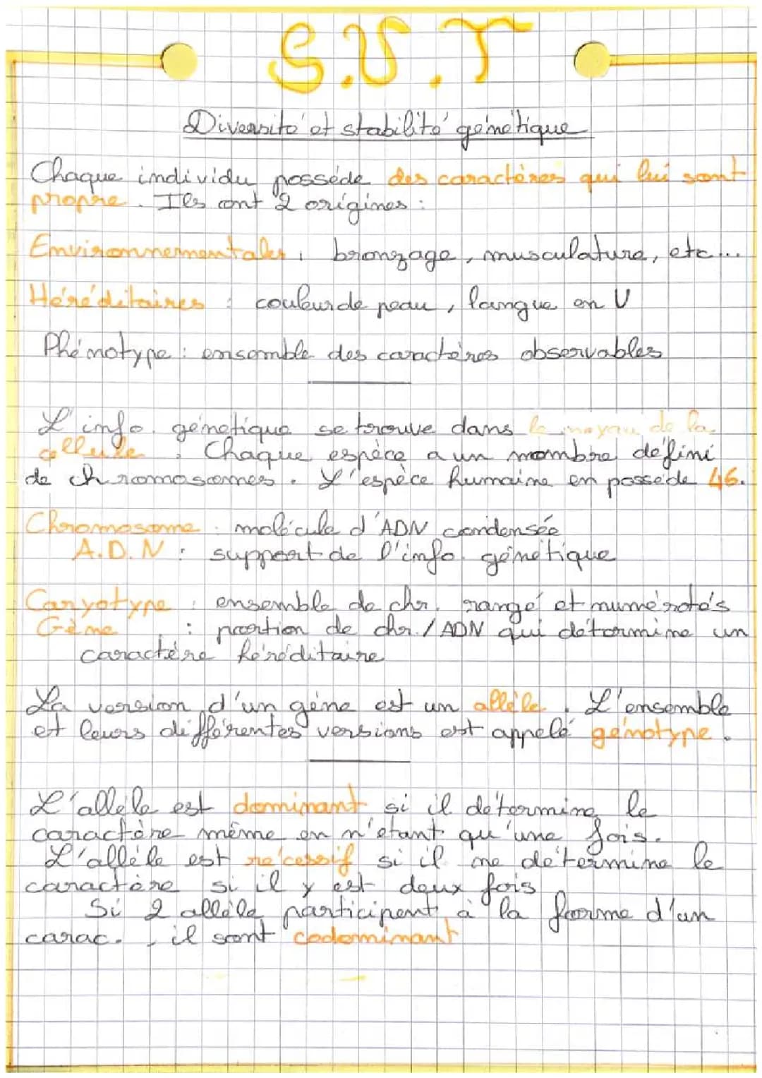 Comprendre la diversité et la stabilité génétique humaine : mitose, méiose, phénotype et génotype