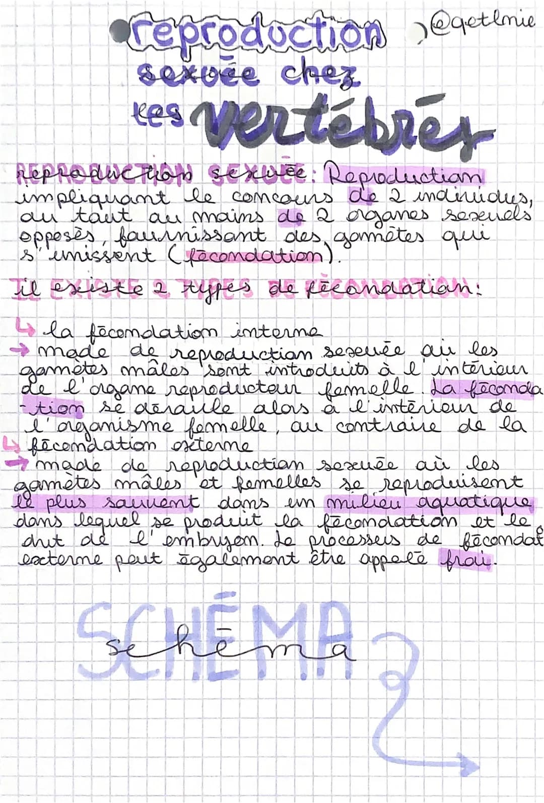•●reproduction @actlnie
sexvée chez
kes vertébrés
Reprodive that sexlee: Reproduction
impliquant le concours de 2 individus,
an tant au main