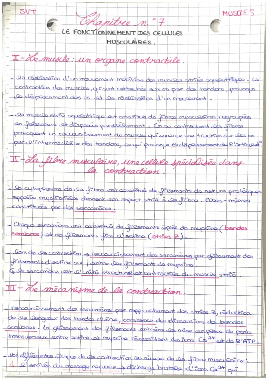 SUT
Chapitre n°7
LE FONCTIONNEMENT DES CELLULES
MUSCULAIRES.
MUSCLES
I- Le muscle: un organe contractile.
la réalisation d'un mouvement mobi
