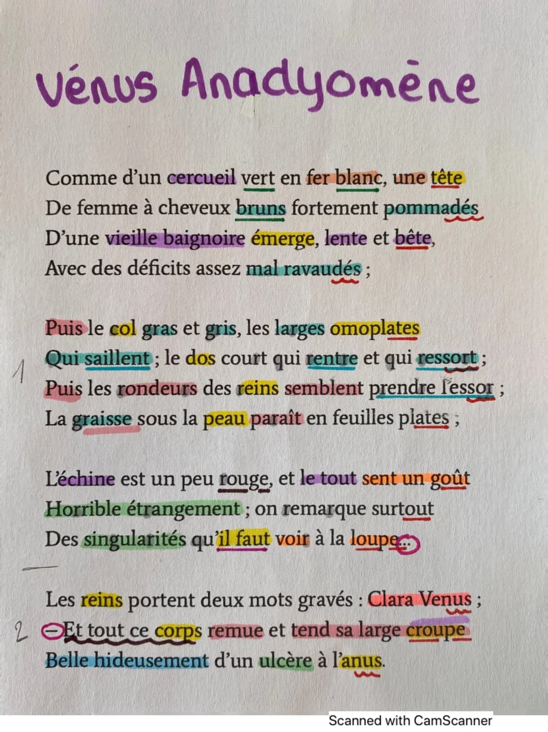 Découvre Vénus anadyomène: Analyse linéaire simple et amusante!