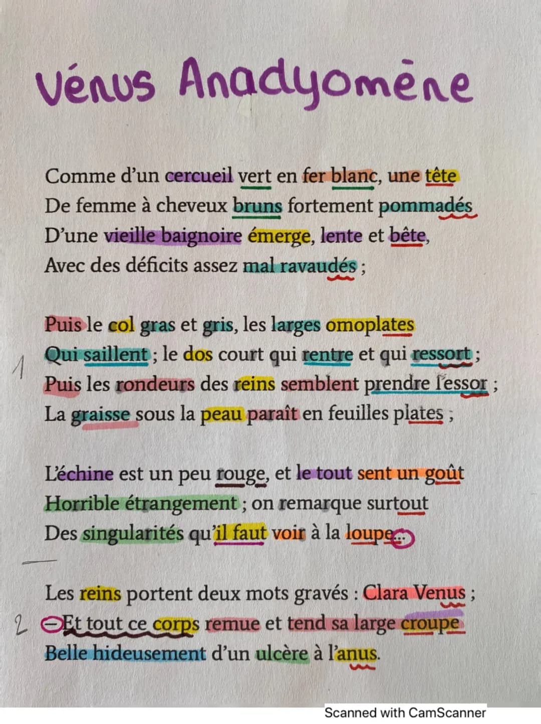 Vénus Anadyomène
Comme d'un cercueil vert en fer blanc, une tête
De femme à cheveux bruns fortement pommadés
D'une vieille baignoire émerge,