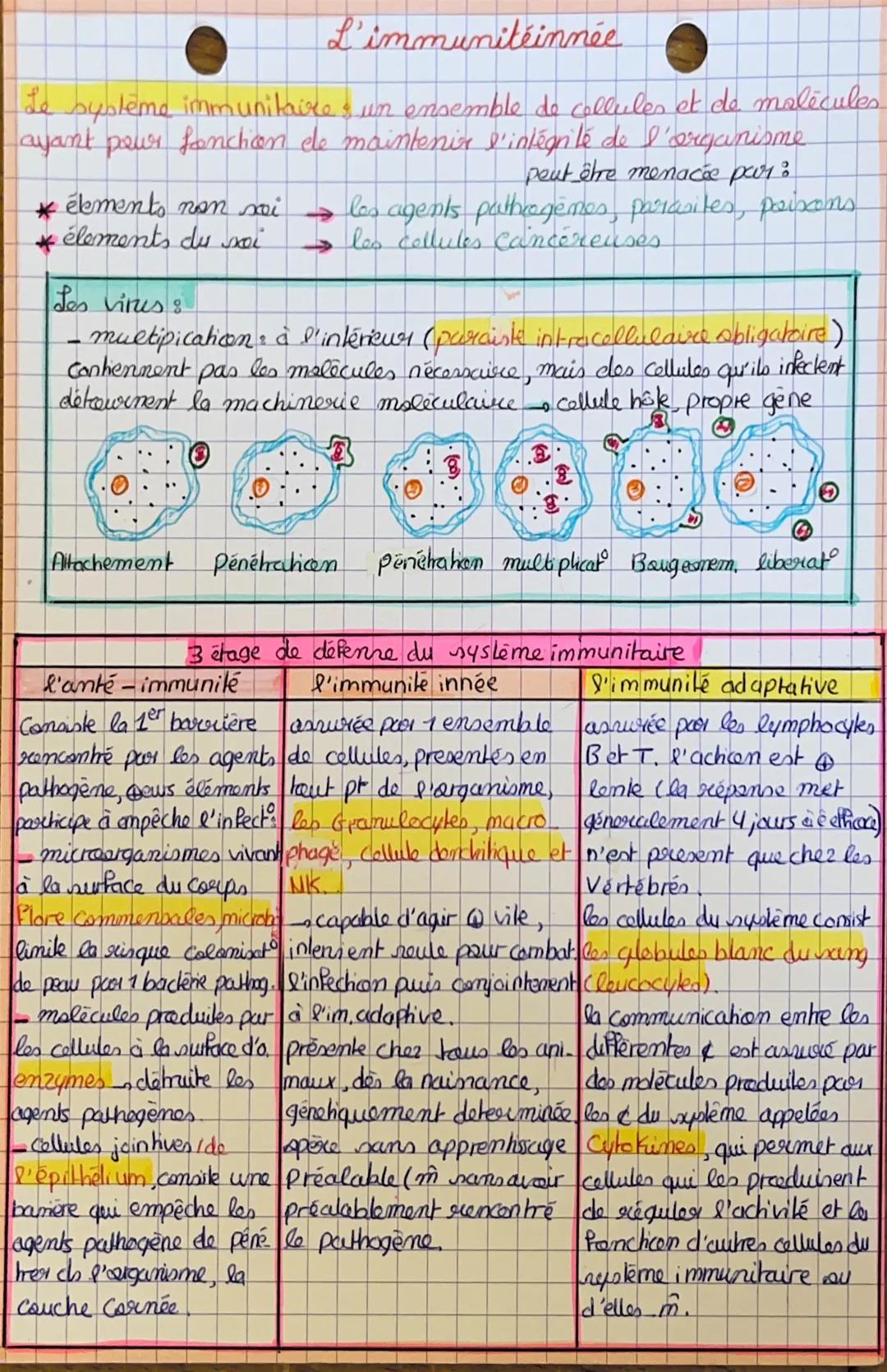 # L'immunitéinnée

Le système immunitaires un ensemble de cellules et de malècules
ayant pour fonction de maintenir s'intégrité de l'organis