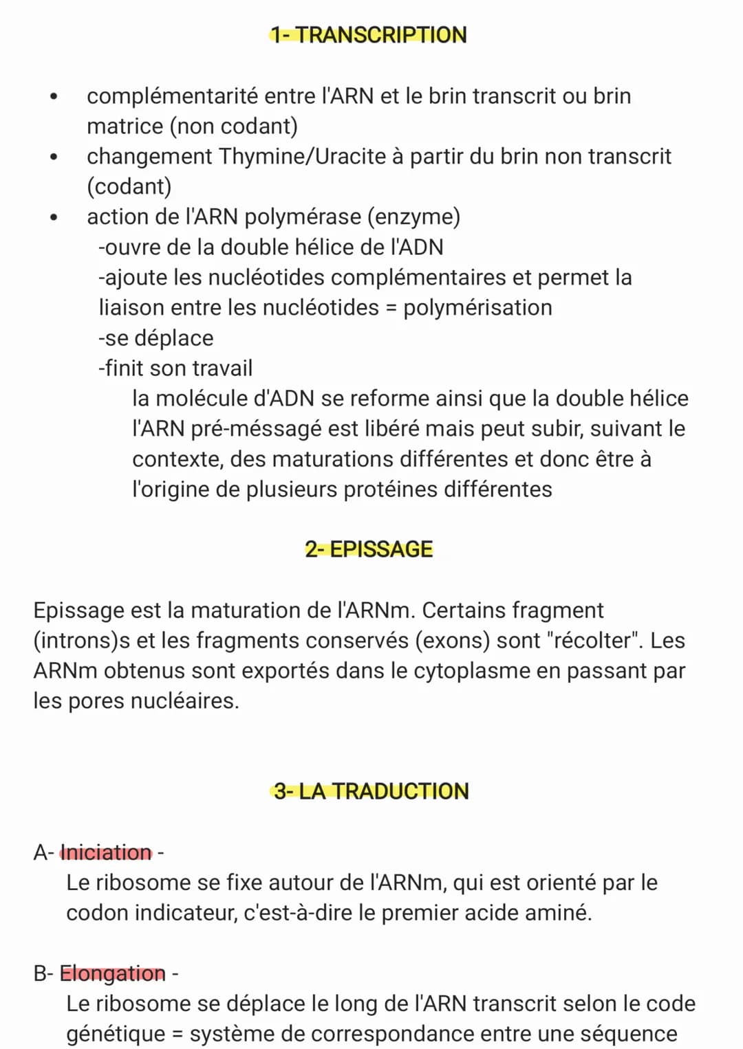 ●
1- TRANSCRIPTION
complémentarité entre l'ARN et le brin transcrit ou brin
matrice (non codant)
changement Thymine/Uracite à partir du brin