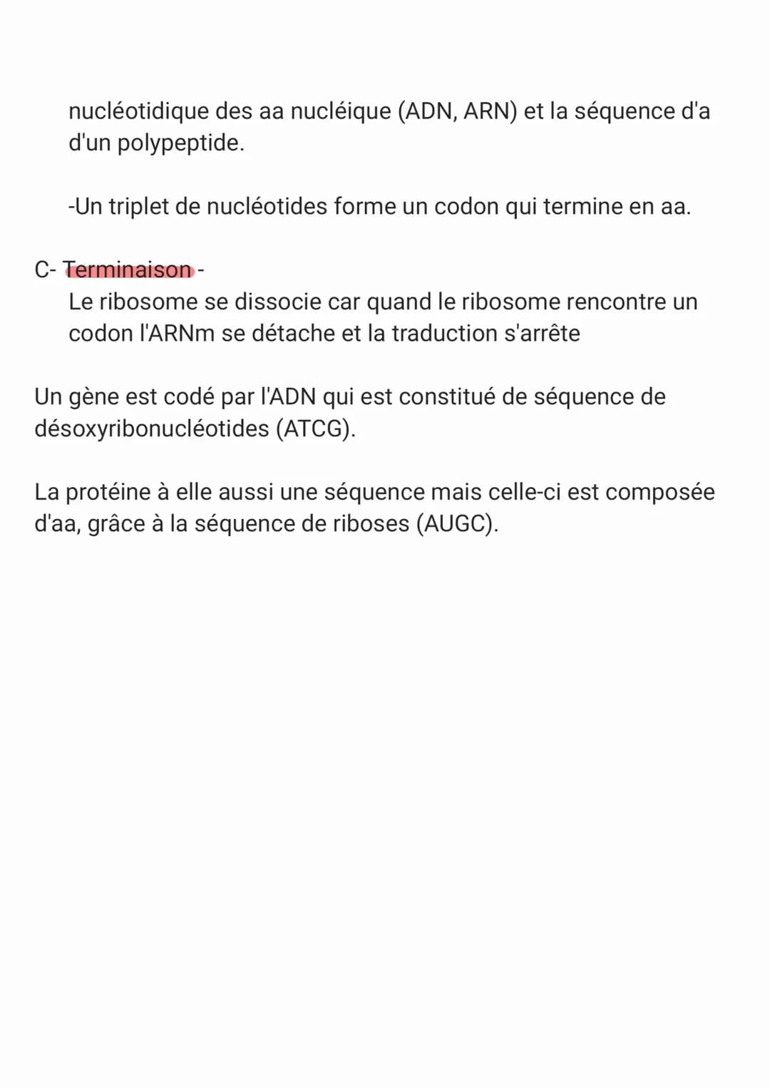 ●
1- TRANSCRIPTION
complémentarité entre l'ARN et le brin transcrit ou brin
matrice (non codant)
changement Thymine/Uracite à partir du brin