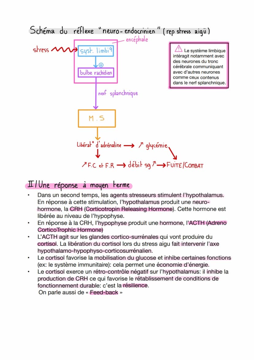 CHAP:
I/Qu'est-ce que le stress?
1. Définition
Ensemble de réactions en réponse à une agression de l'environnement
Agents stressants:
biolog