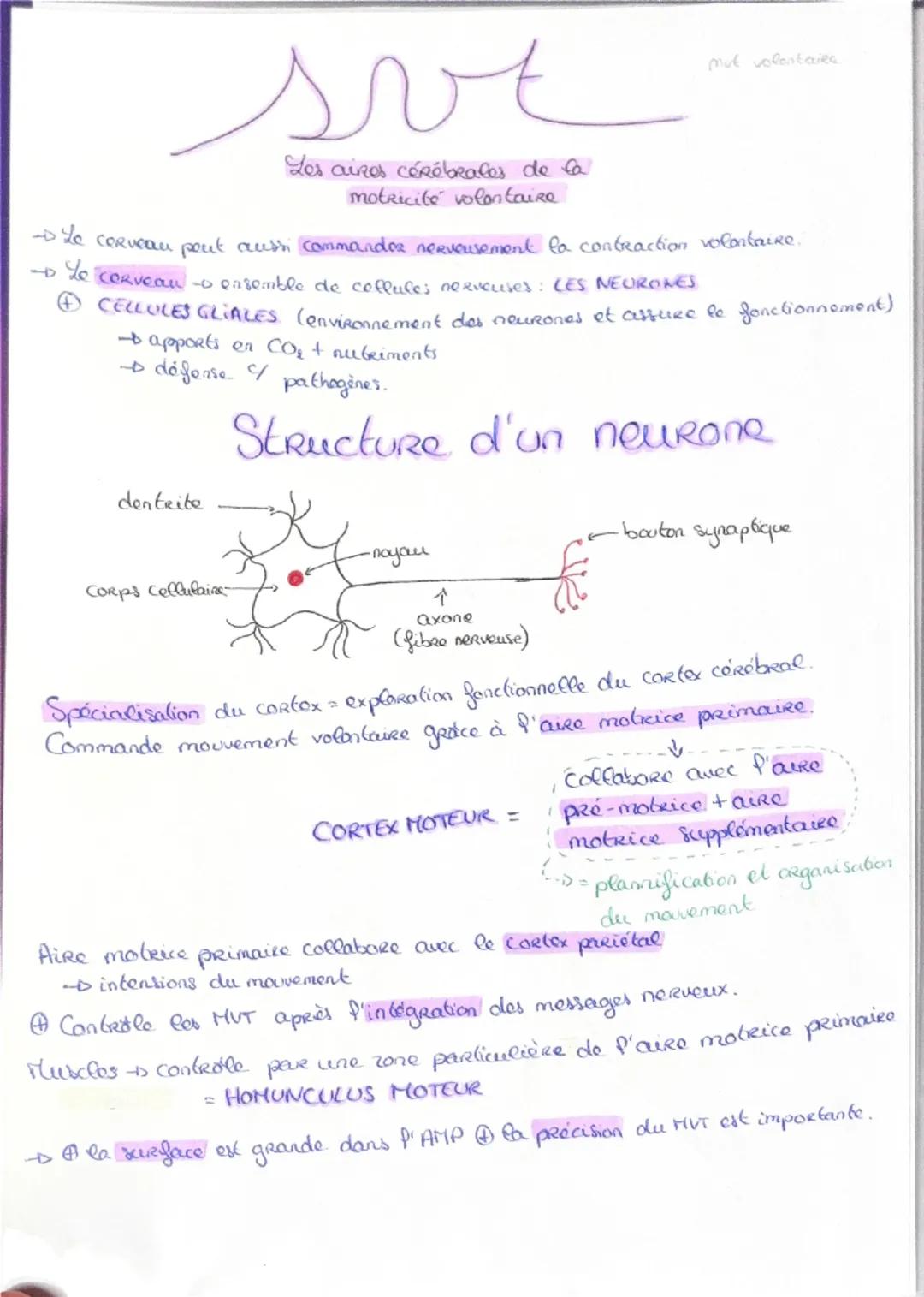Haploide
(n)

a a qu'une qu seule fois
chaque type de
Chromosomes dans
Son noyau (pas
d'homologue)

VS

Diploide
(2n)

Lo fusion do 2 & hapl