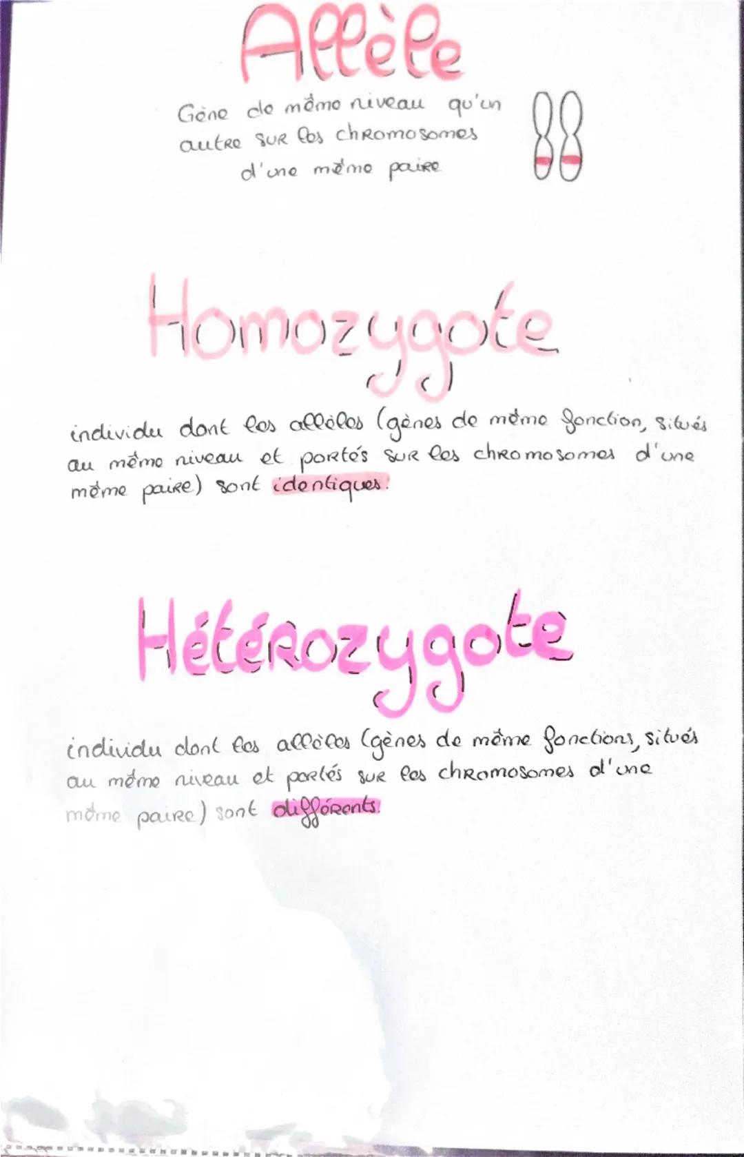 Haploide
(n)

a a qu'une qu seule fois
chaque type de
Chromosomes dans
Son noyau (pas
d'homologue)

VS

Diploide
(2n)

Lo fusion do 2 & hapl
